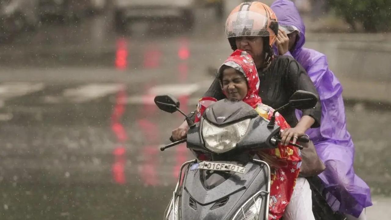 Maharashtra rains: Schools, junior colleges shut in Thane amid heavy rainfall Representative image/iStock