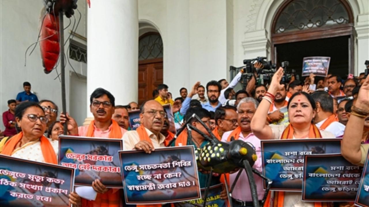 Speaking in the assembly, Banerjee said dengue cases are on the rise this year as panchayats are unable to control the situation because they are yet to form the boards after the elections
 