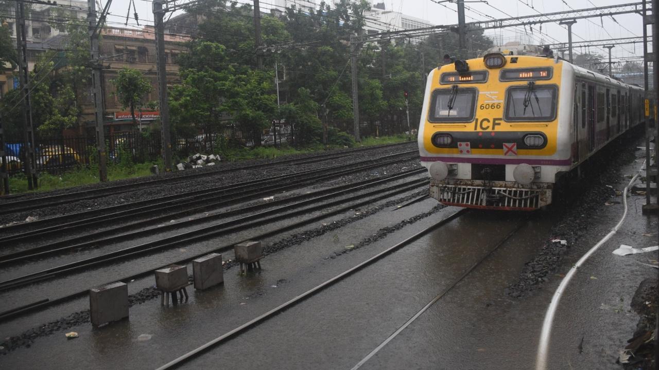 Due to heavy rains in south Mumbai, the small-sized rocks washed away with strong waves and got stuck in the rainwater outfall of Patanjain Marg. The BMC officials immediately coordinated with the railway administration and cleared the outfall culverts. BMC stated, 