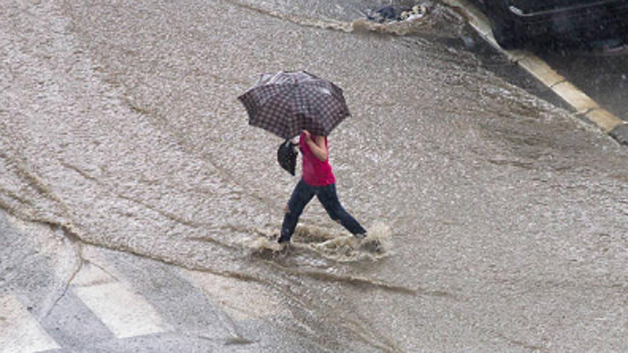 Kerala: After IMD's orange alert, holiday declared in all educational institutes in Kannur, Kozhikode and Wayanad districts 