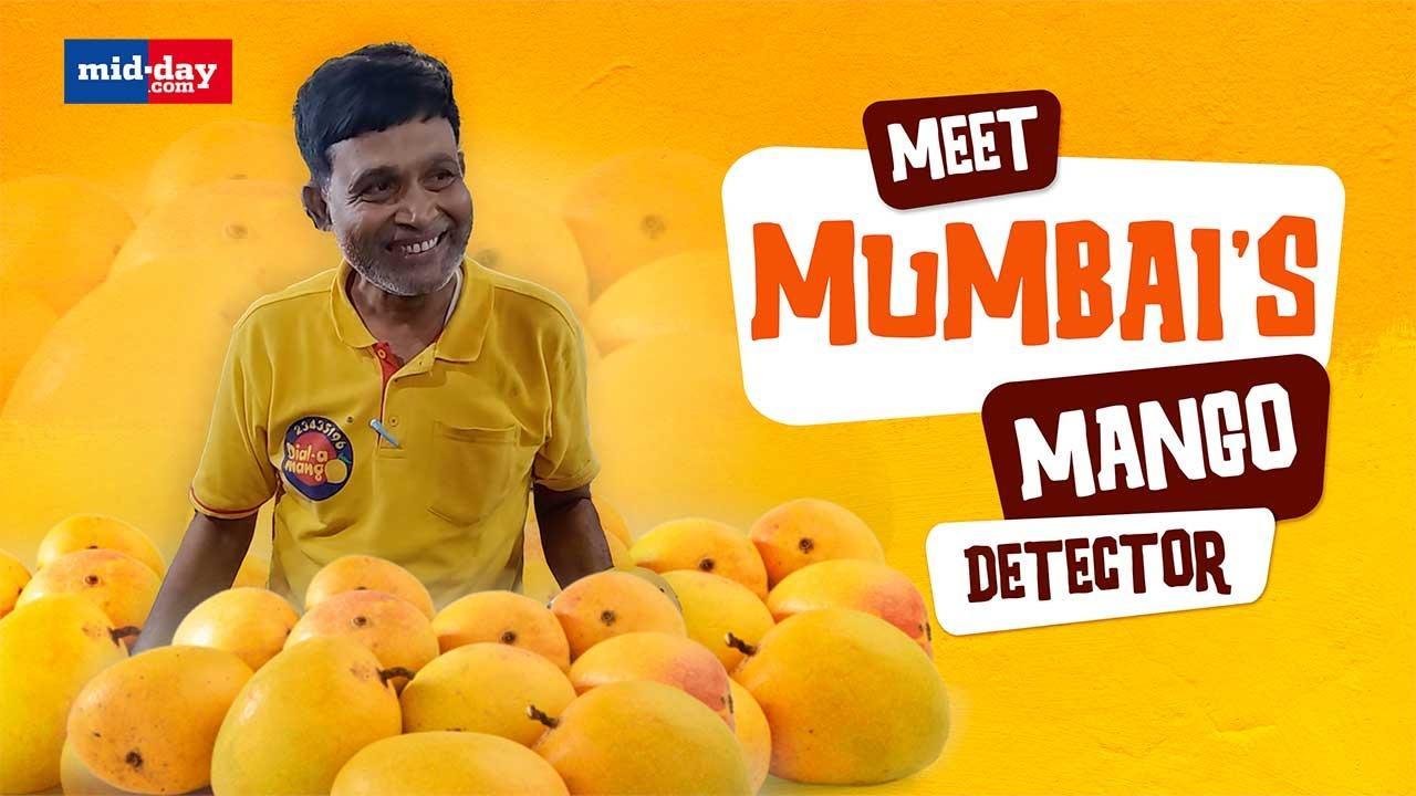 National Mango Day 2023: This Mango detector's skill will blow your mind