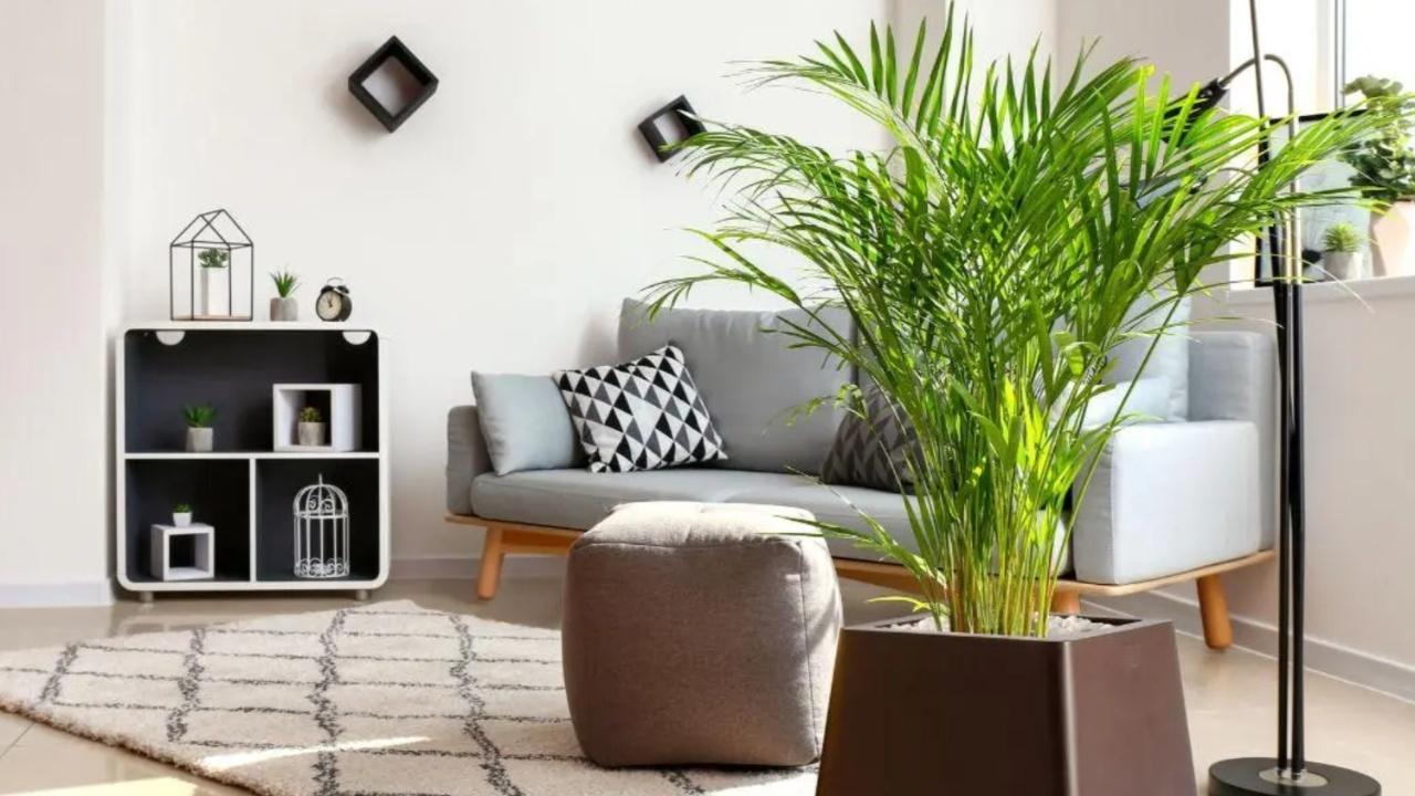 Love rains, but hate seepage? Expert tips to prevent dampness in homes