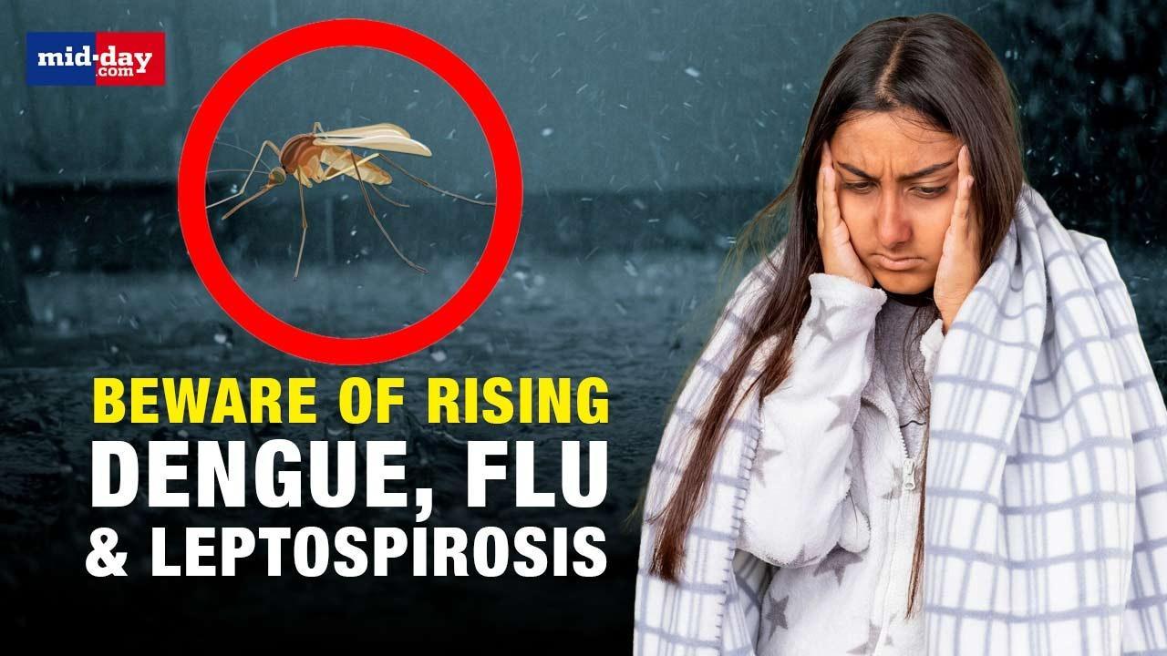 Here is how to prevent monsoon diseases like Dengue, Flu and Leptospirosis