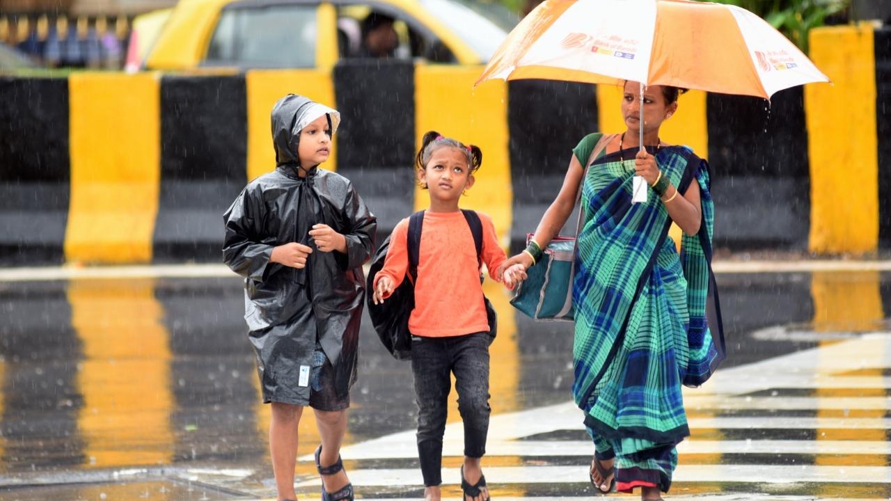 There have been a total of 16 complaints lodged in the past 24 hours. Out of these complaints, three cases of tree fall, three cases of tree branch fall, and two cases of trees posing dangerous conditions have been reported, an official said