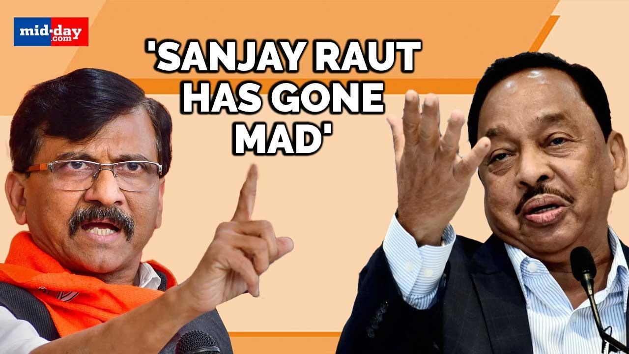 Narayan Rane reacts to Sanjay Raut's claim of 'BJP removing Shinde'