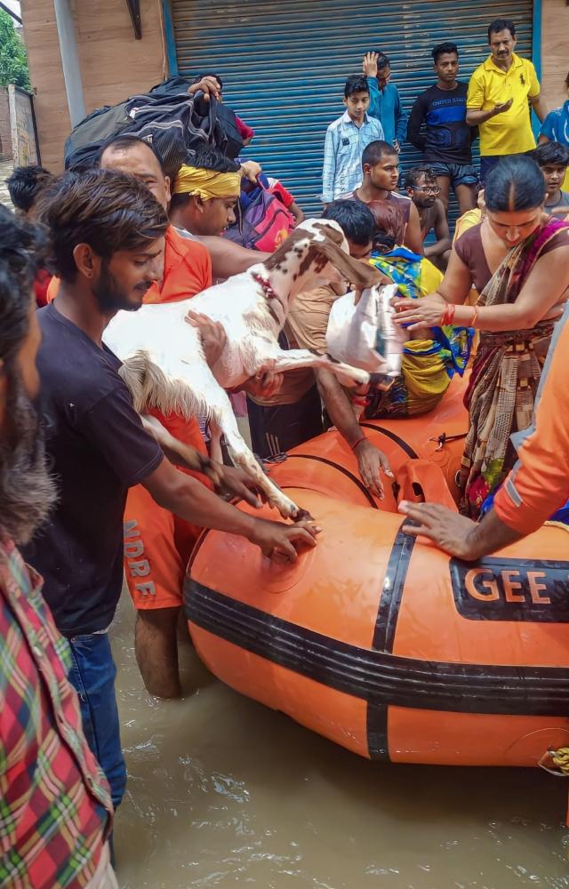 After breaching the 45-year-old record three days ago, water levels in the Yamuna in Delhi came down to 207.98 metres at 11 pm on Friday