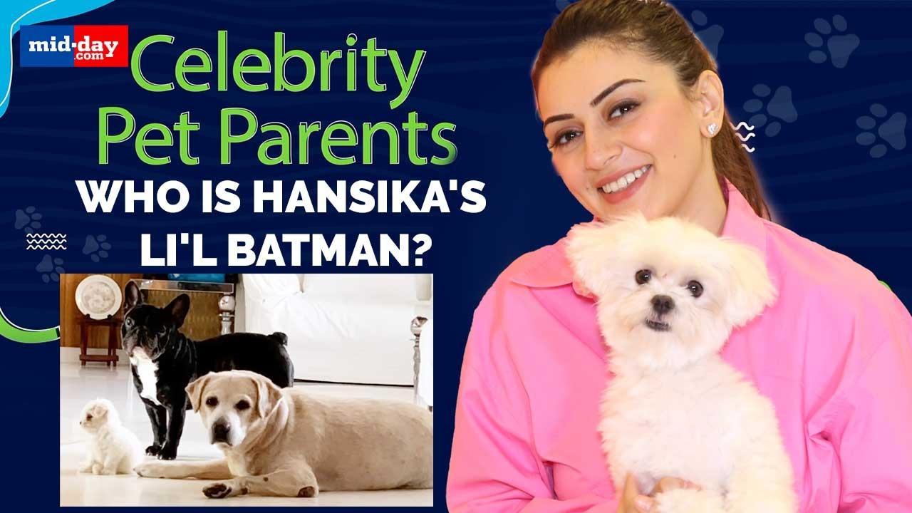 Meet Hansika Motwani's terrific trio | Celebrity Pet Parents