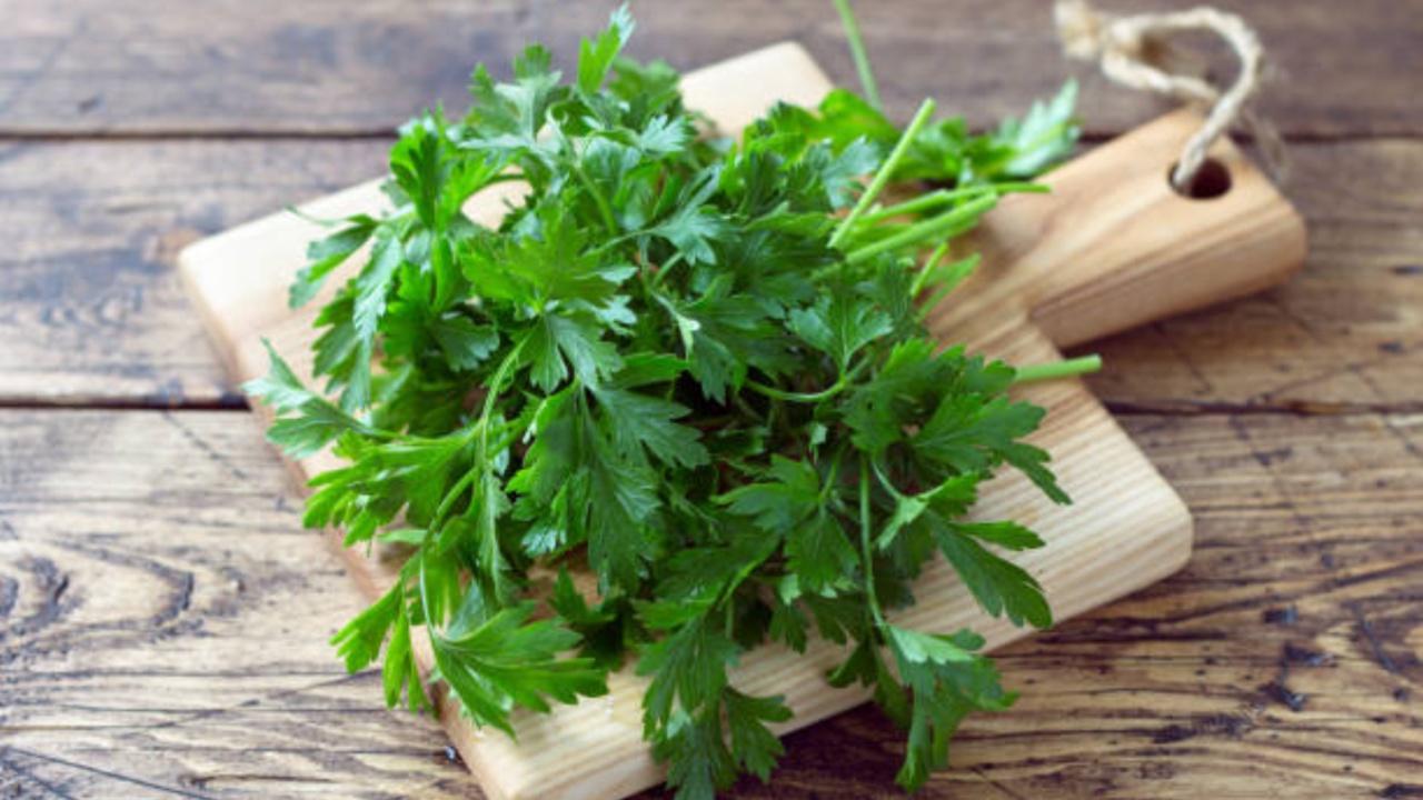 Parsley is rich in chlorophyll, a natural breath freshener. It helps neutralize odour-causing compounds in the mouth. Photo Courtesy: iStock