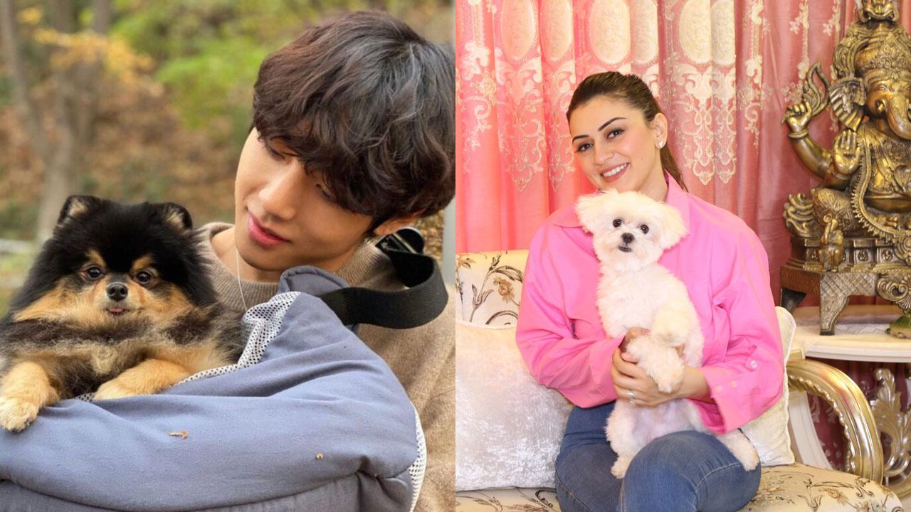 Celebrities who have adopted rescued pets