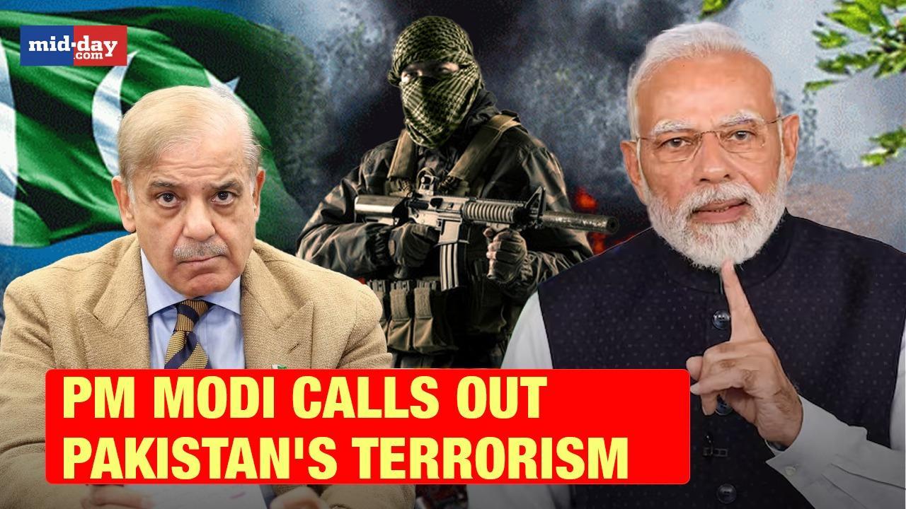 SCO Summit: There should be no double standards on terrorism, says PM Modi