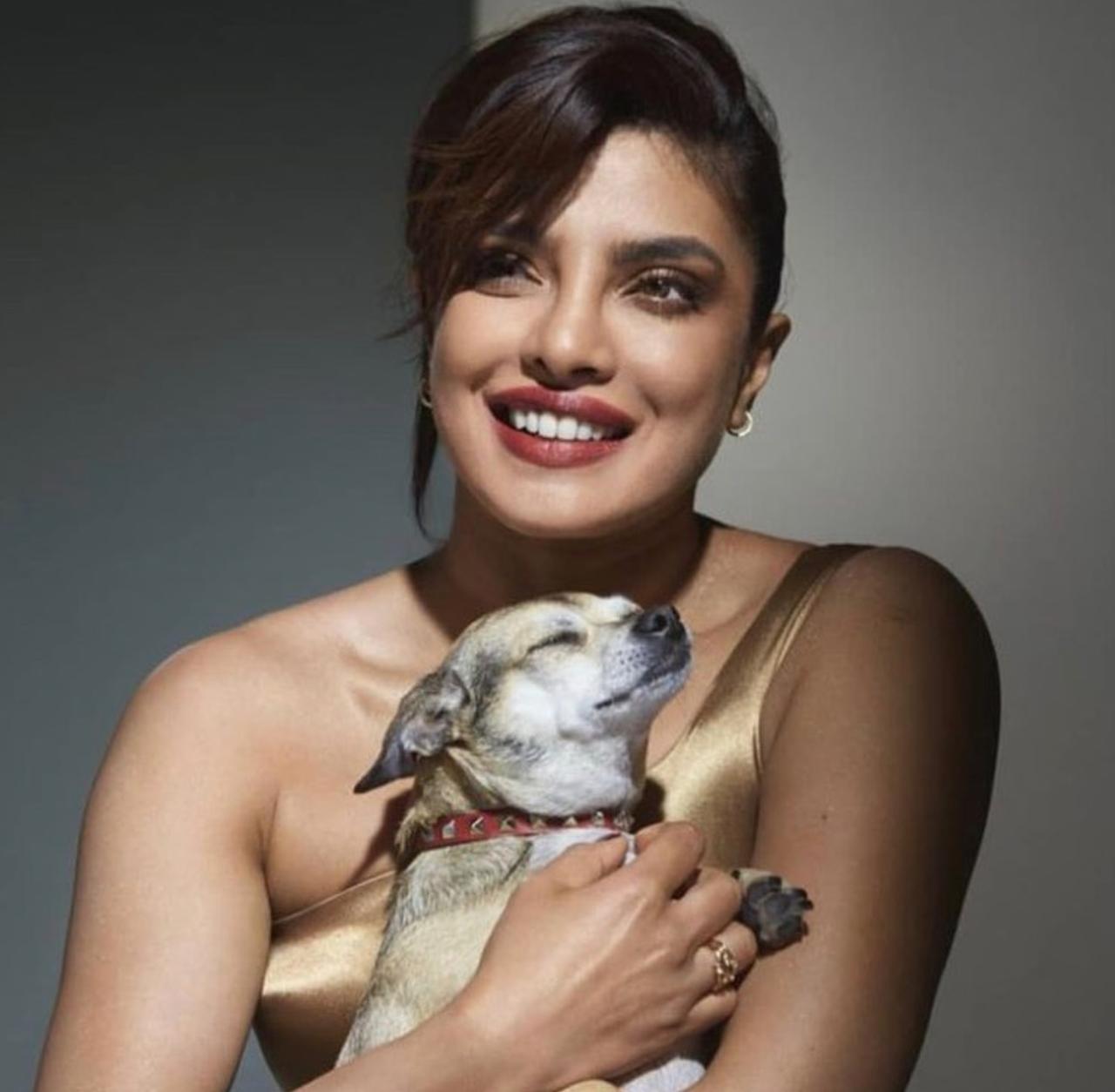 Priyanka and Nick Jonas are devoted pet parents to three adorable dogs: Diana, Panda, and Gino. The couple's deep affection for their furry companions is evident in the delightful snapshots they frequently post on their Instagram feed. Diana, the sweet canine in this picture, even has her own Instagram account and is full of personality. 