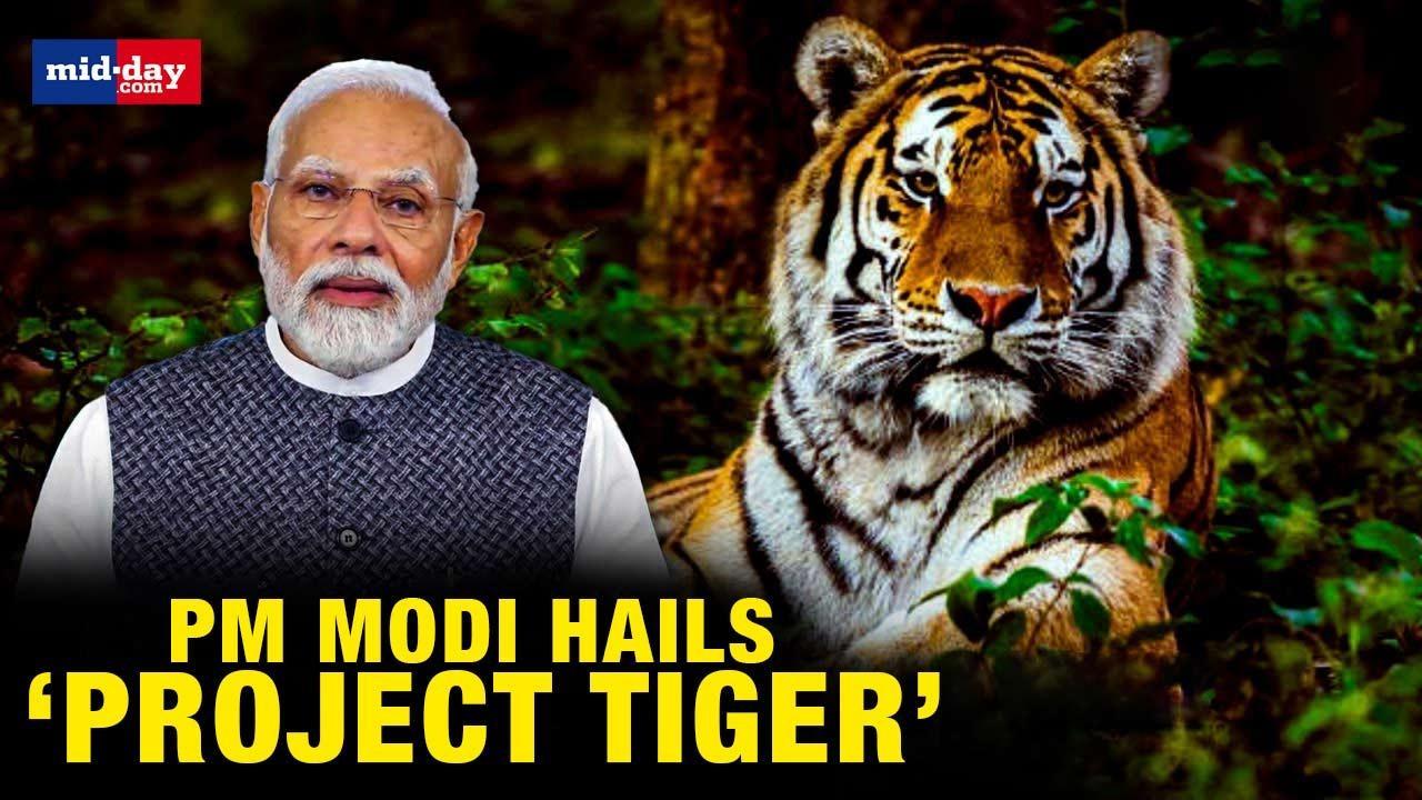 International Tiger Day 2023: PM Narendra Modi hails Project Tiger at G20 meet
