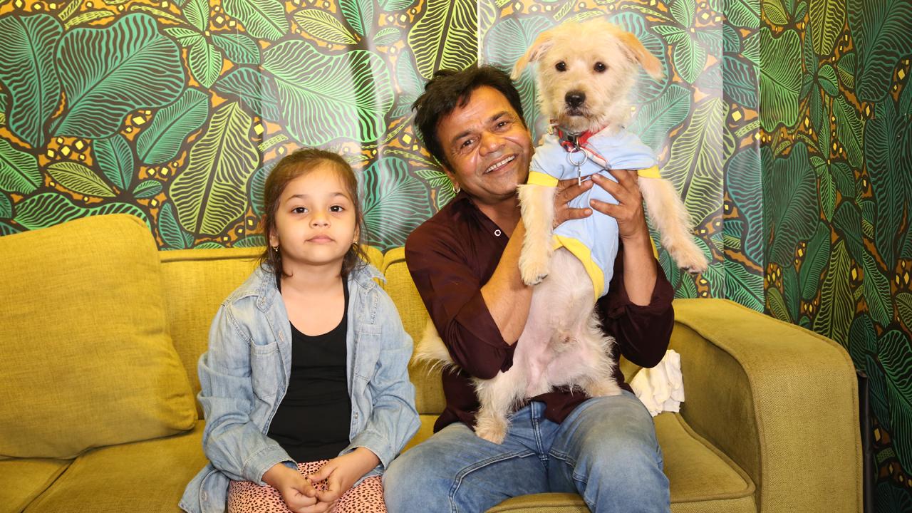 Actor-comedian Rajpal Yadav adopted his dog Buddy from the sets of his film. The actor in an interview with mid-day.com's 'Celebrity Pet Parents' said, 