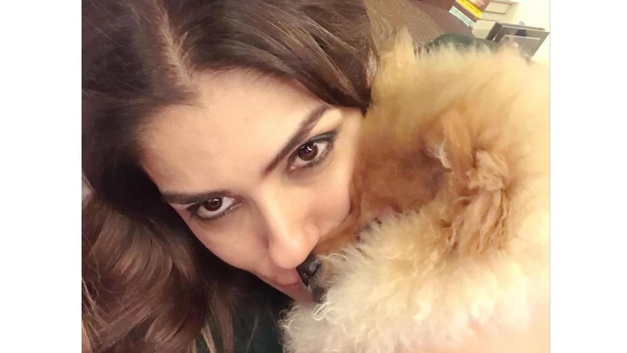 Raveena Tandon in a recent interview on mid-day.com's 'Celebrity Pet Parents' said, 