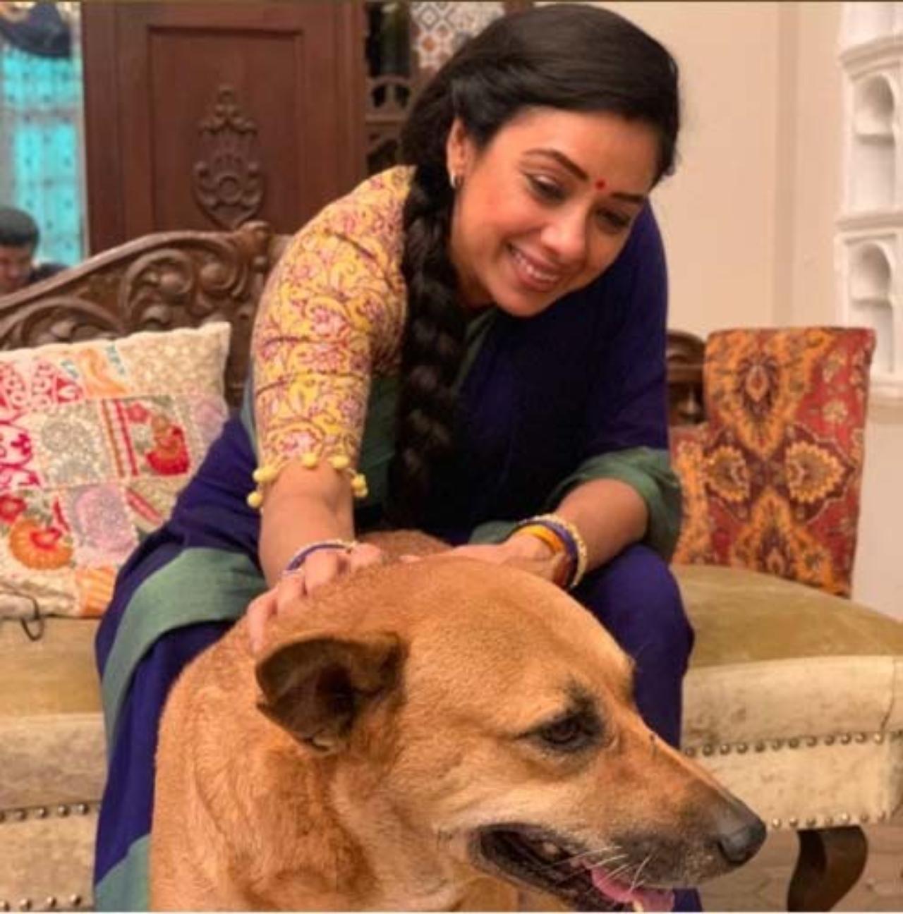 The talented actor from 'Anupamaa' stands firmly as an advocate for animal rights, consistently using her social media platforms to raise awareness surrounding this issue. In this photo, Rupali Ganguly can be seen taking care of a pregnant dog on the sets of 'Anupamaa' - it is evident that protective instincts extend beyond her pets at home and also toward animals in need of help in the wild
