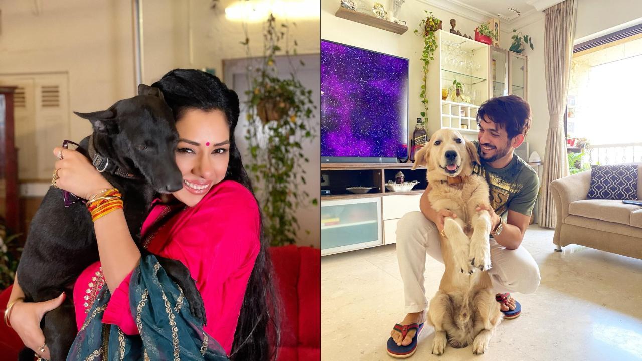 From Rupali Ganguly to Arjun Bijlani, here are pet parents from the TV industry