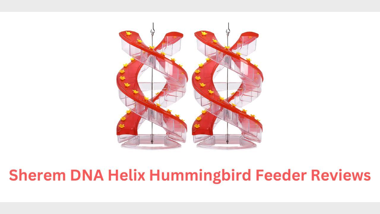 Sherem DNA Helix Hummingbird Feeder Reviews SCAM or LEGIT You Should Read It First Before Buy