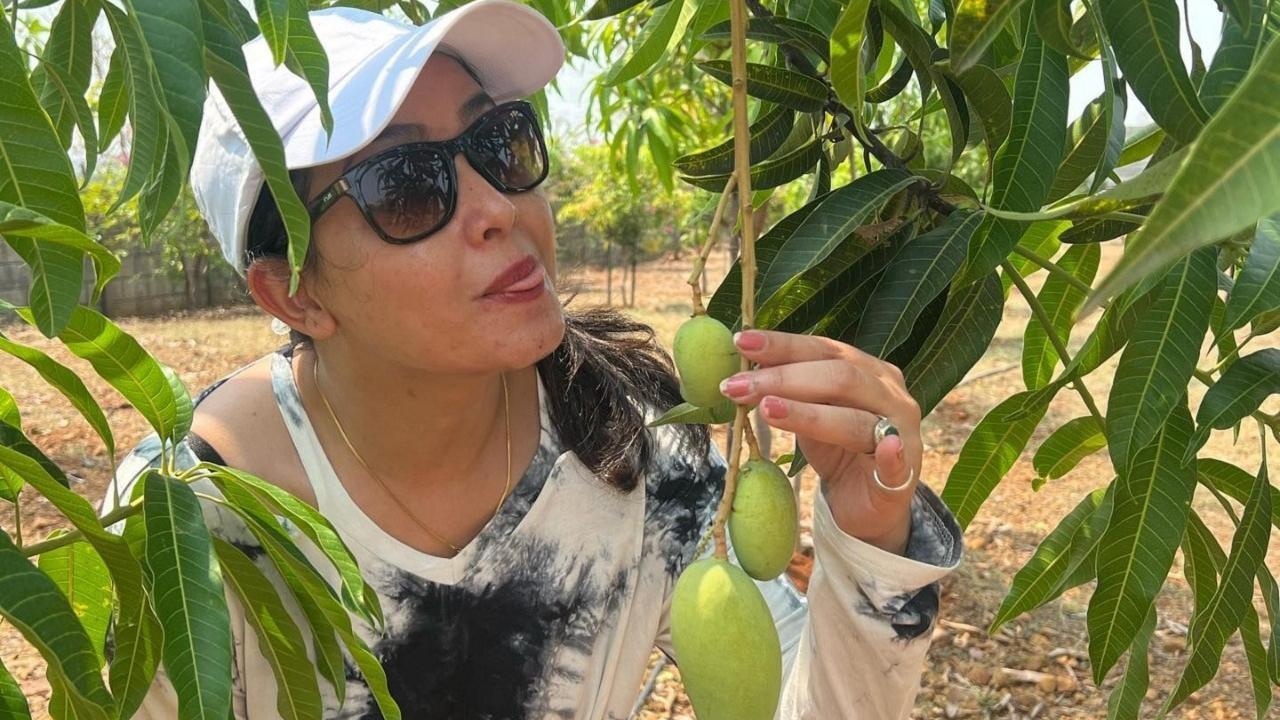 Mango Day 2023! Shubhangi Atre: My mom makes the most amazing 'aam ka aachar'