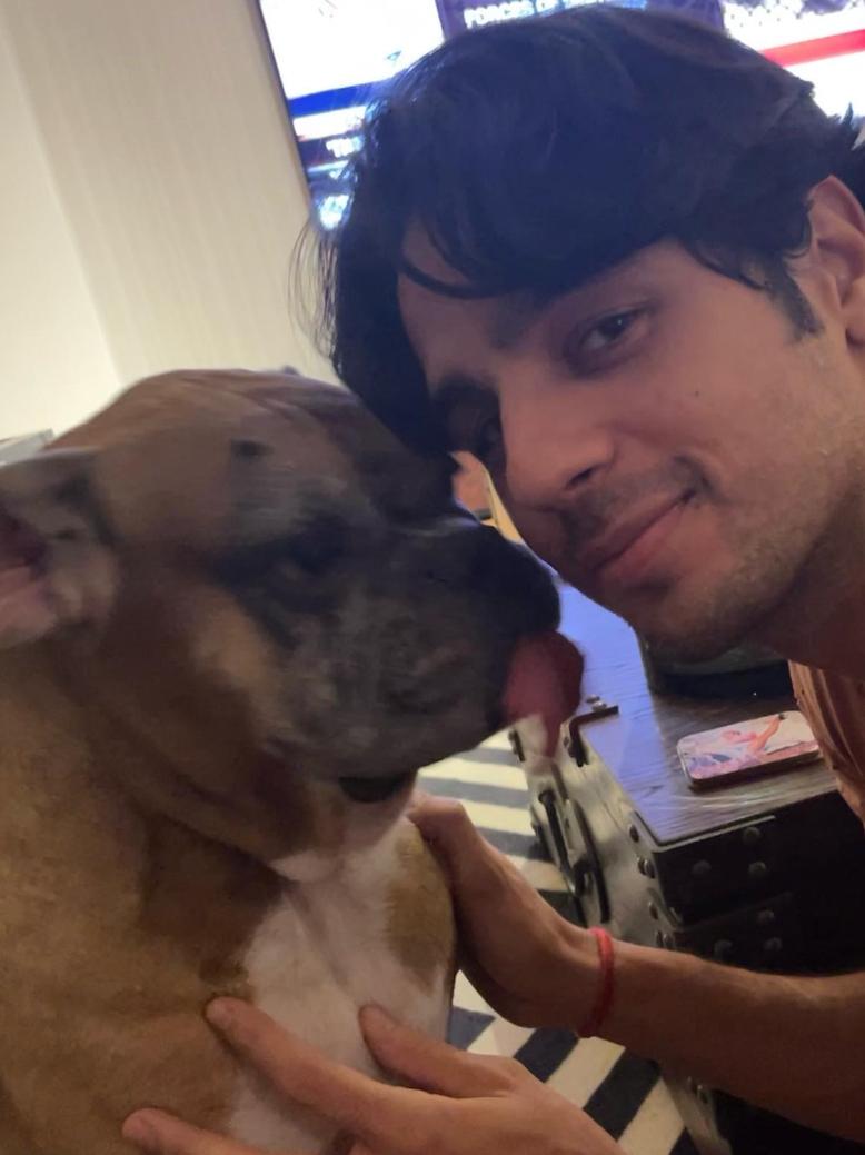 Sidharth Malhotra took to social media to write a heartfelt tribute for his dog, Oscar, who passed away in February last year. Alongside a collection of pictures capturing their moments together throughout the years, Sidharth expressed the deep connection they shared and fondly reminisced about their bond.