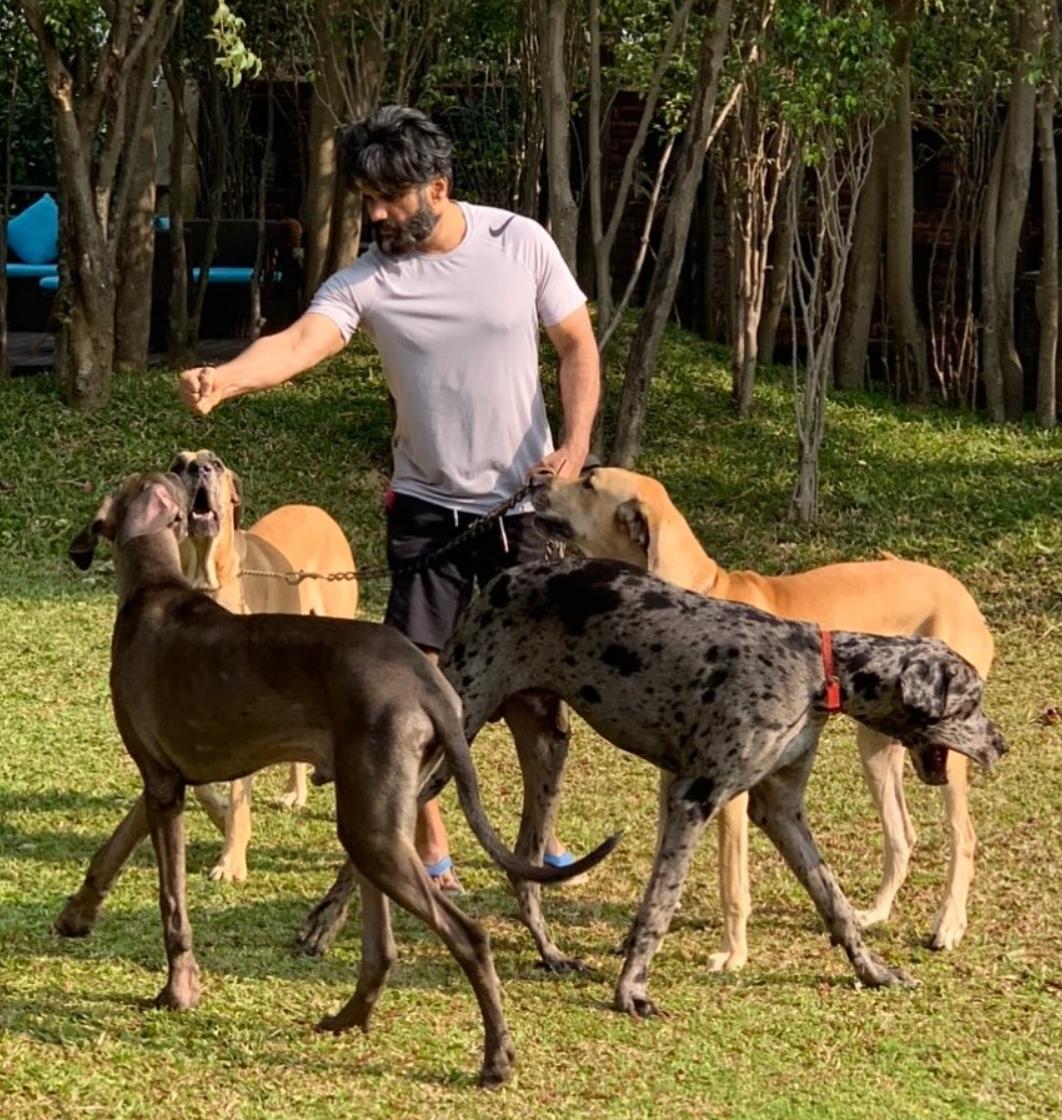 Suniel Shetty, along with his wife Mana and their children Athiya and Ahan, frequently shares delightful moments with their dogs on social media. The adorable canines appear to thoroughly enjoy the vast, open grassy spaces where the family spends quality time together. 