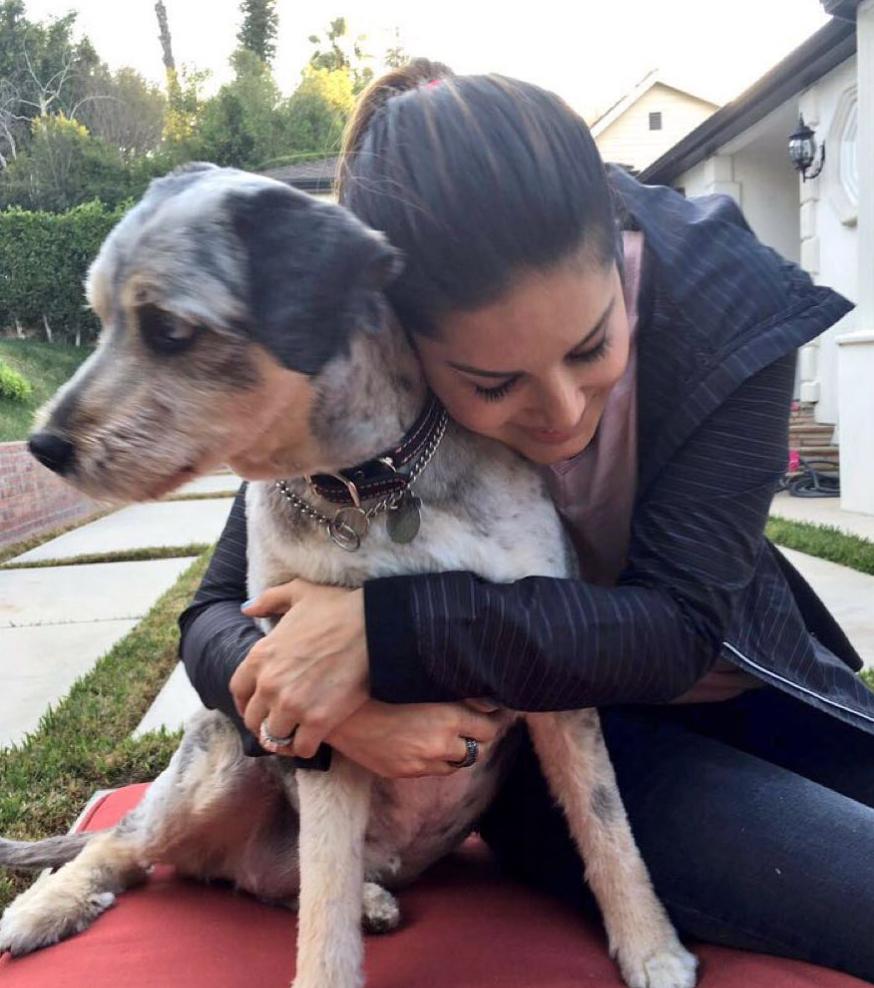 Actress Sunny Leone adores dogs, with a special affection for her own beloved companions, Lilu and Chopper. In this picture, we can see Sunny soaking in all of Lilu's love. Much like this, her Instagram feed is filled with heartwarming posts and fond anecdotes about her furry friends, showcasing the depth of her love and bond with them. 