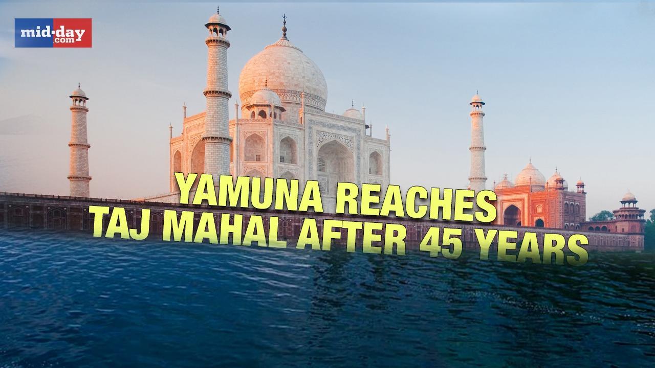 Delhi Rains: Water level of Yamuna continues to rise, reaches walls of Taj Mahal