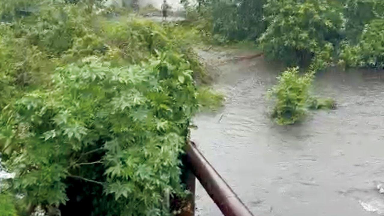 The drain flows into the Kalyan creek