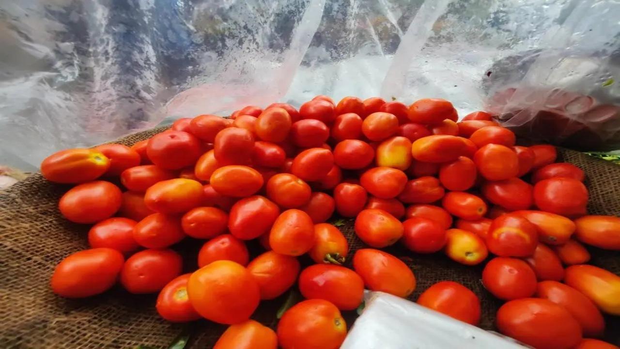 Rising tomato prices: Govt cuts subsidized rates to Rs 70/kg