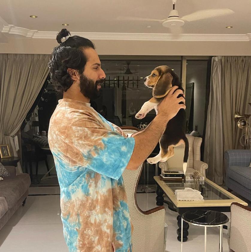 Varun Dhawan's love for dogs, especially his adorable pet beagle Joey, knows no bounds. He often gushes about Joey and shares heartwarming glimpses of their bond on his Instagram, showing the world what a loving and devoted pet parent he is. Their friendship is truly a sight to behold, melting the hearts of his fans and animal lovers alike.