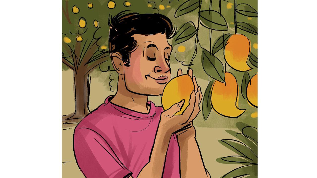 More aam dealers, please