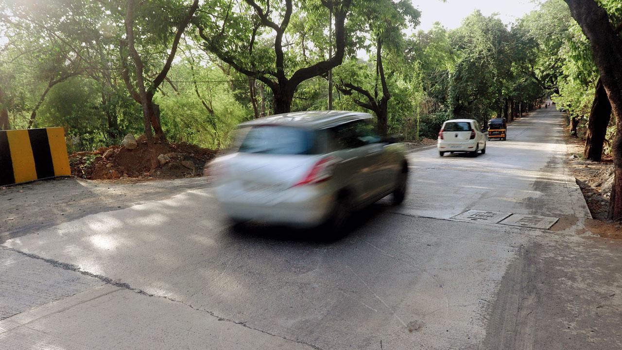 Forest dept to demand speed breakers on main Aarey road