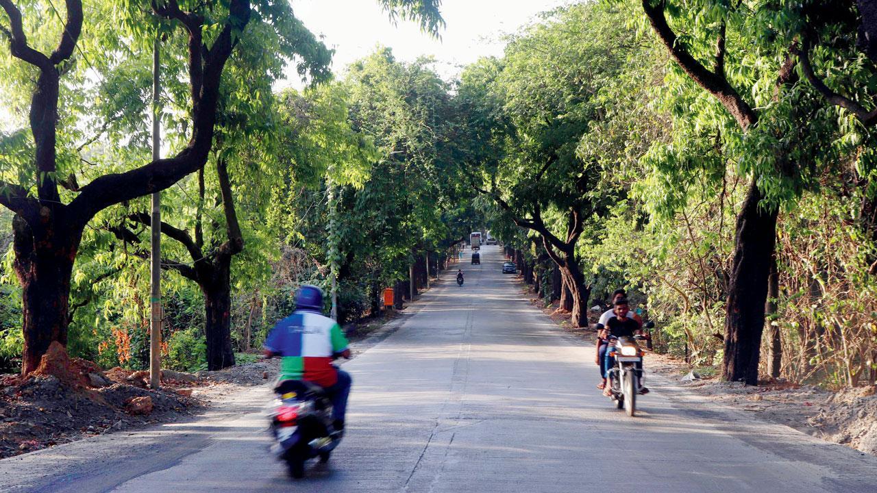 Mumbai: ‘Install speed-breakers on Aarey main road’s concretised stretch’