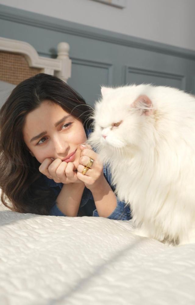 Alia`s love for her cat is no secret, but this picture of them basking in the sun received much love from fans and friends on her Instagram