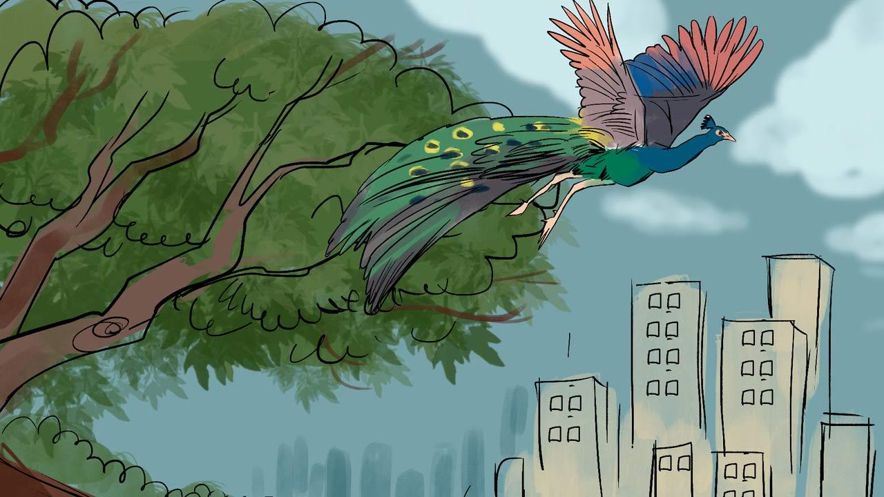 Illustrations/Uday Mohite