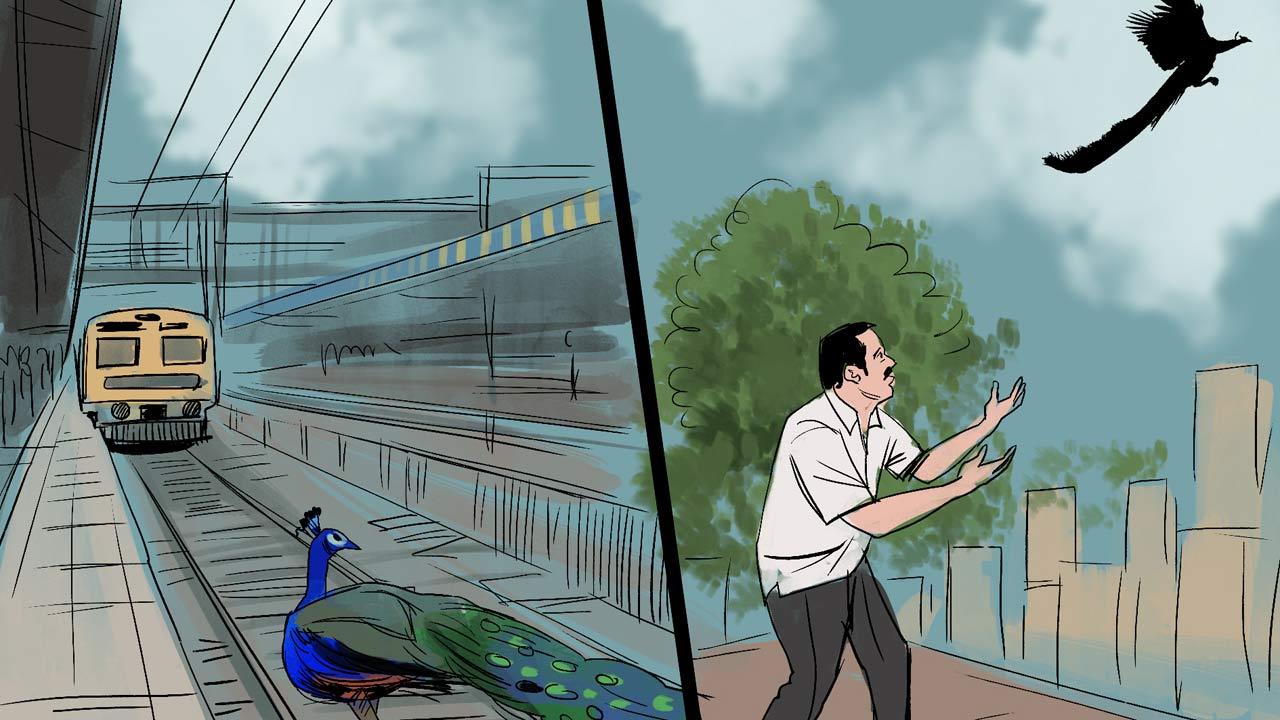 Illustrations/Uday Mohite