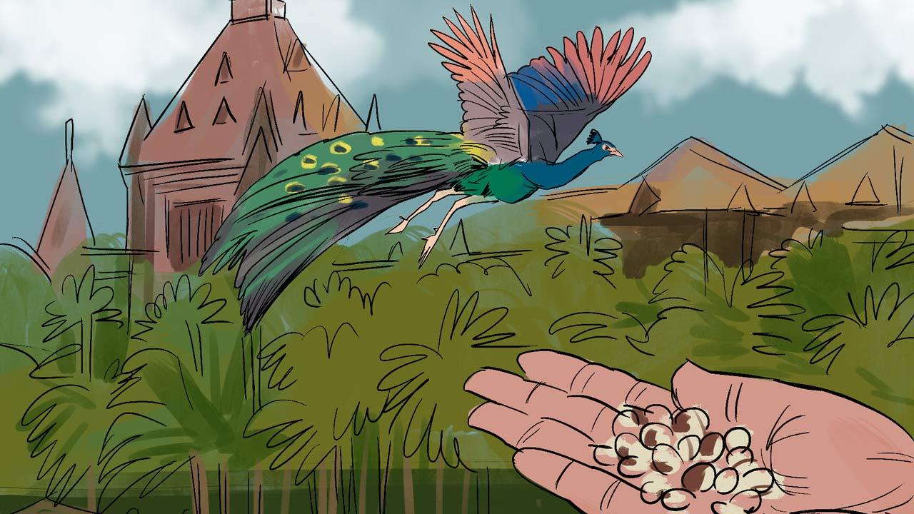 Illustrations/Uday Mohite