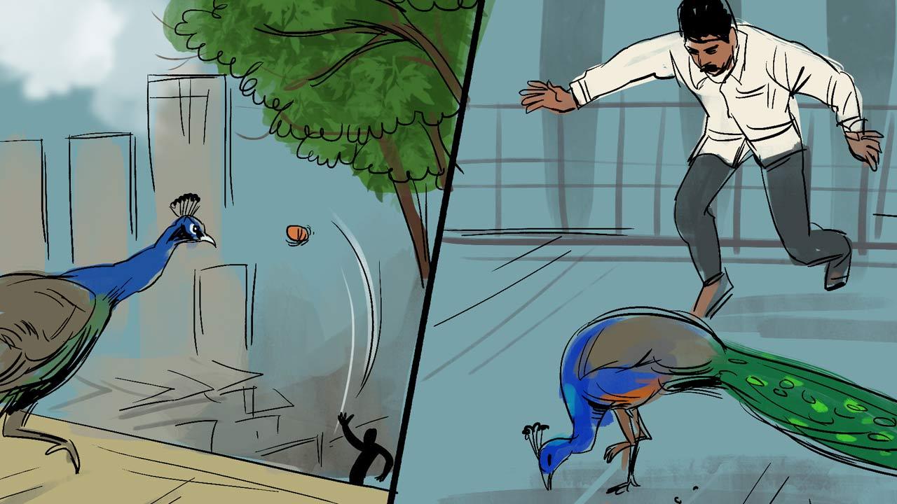 Illustrations/Uday Mohite