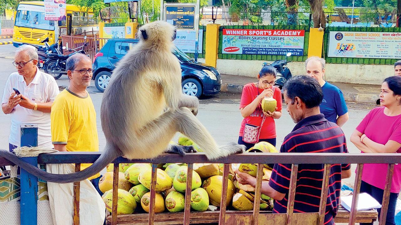 Mumbai Diary: Wednesday Dossier