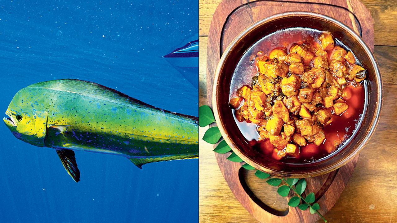 Mahi mahi. Representation pic (right) Hot fish pickle