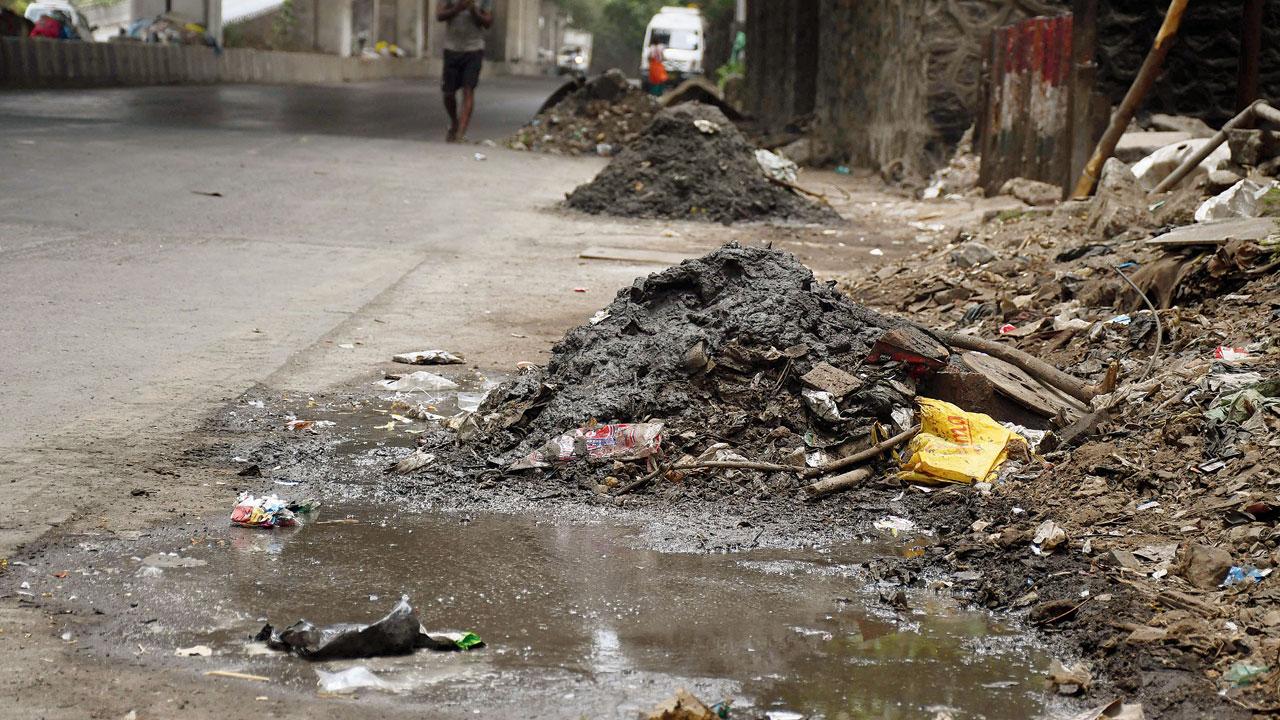 Trash cleared from a gutter at Mazgaon. Pic/Ashish Raje