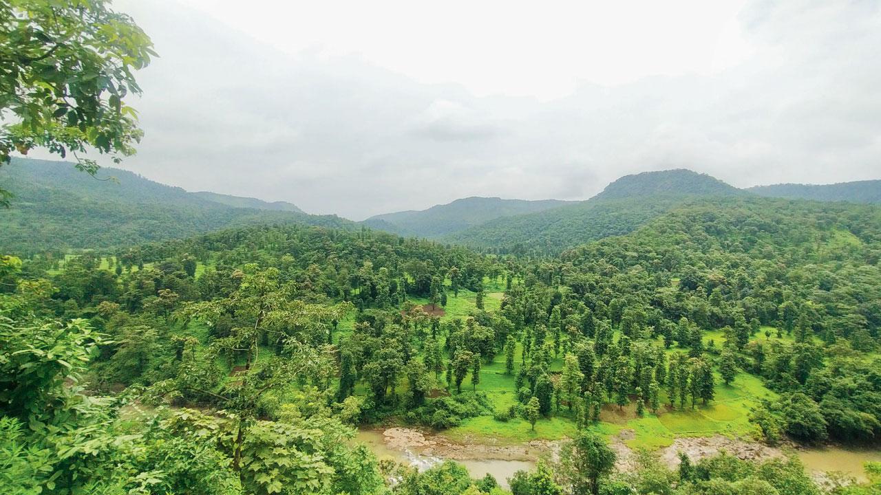 Gargai Dam: Civic body throws tribals under the bus