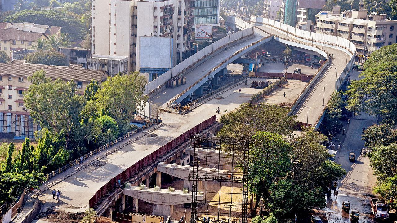 BMC to chop down 3 trees at Gokhale bridge site, activists fume