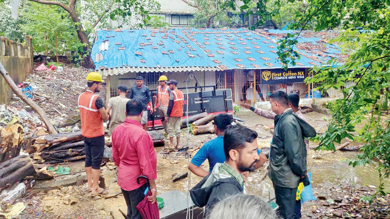 One person died after a tree collapsed at Manibhai Chawl in Mamlatdar Wadi, Malad