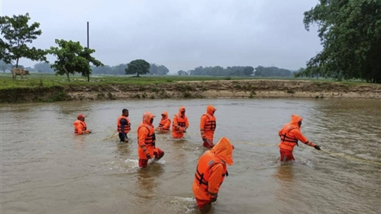 Among other rivers flowing over the red mark are Puthimari (Kamrup), Paglagiya (Nalbari) and Manas (Barpeta)
In Pic: NDRF personnel carry out a search operation in Depota river after a local youth went missing in the flood-affected area of Bahbari near Tezpur
 