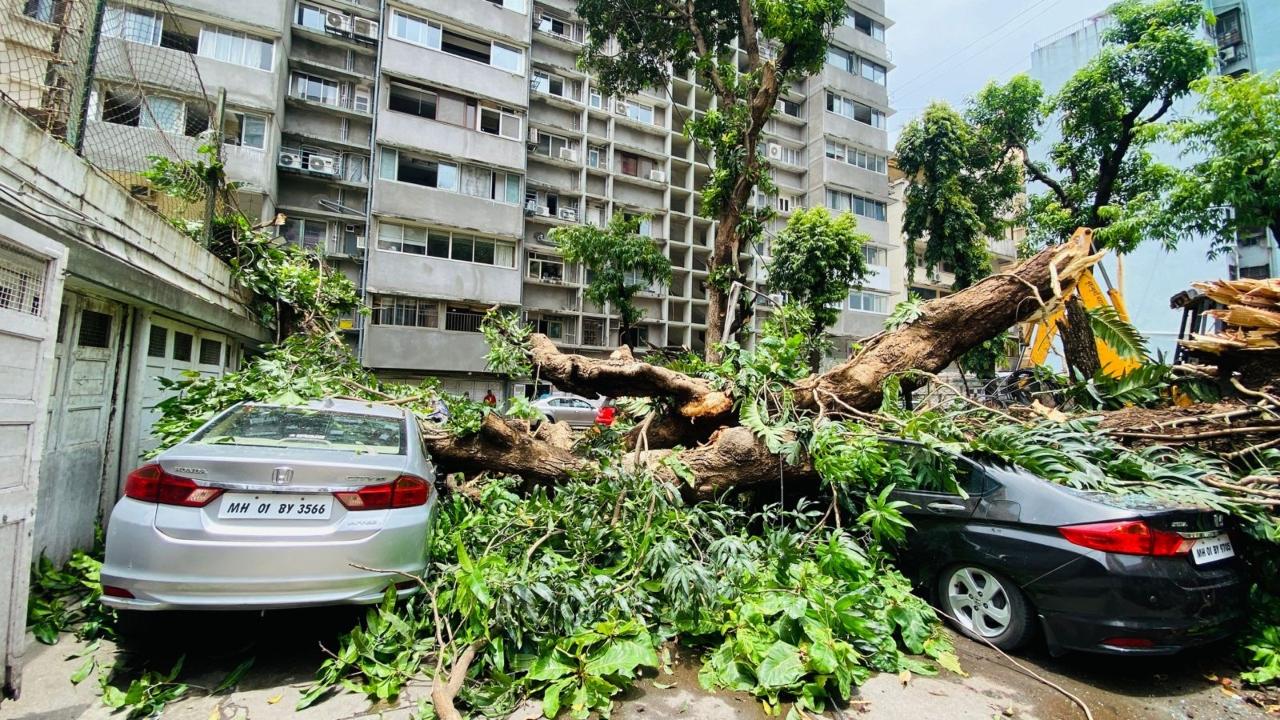 Besides cars, a boundary wall of the society was damaged too
 