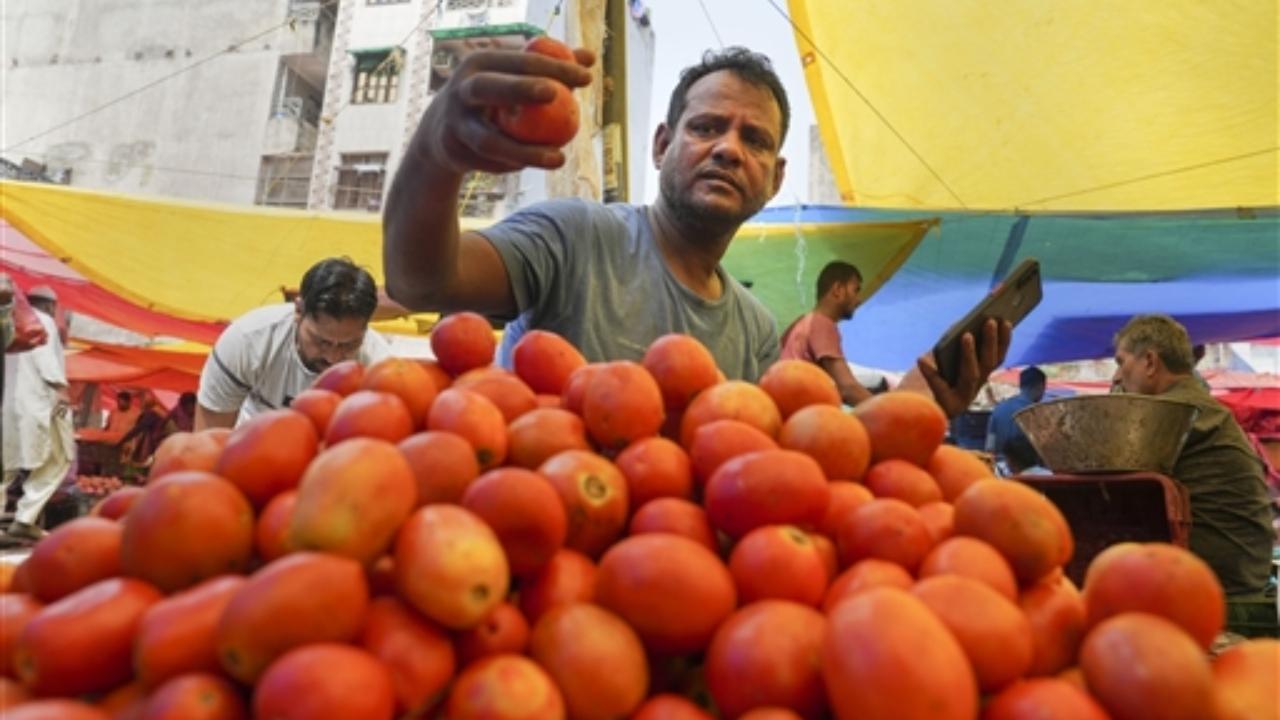 Tomato prices have also skyrocketed in the southern state of Karnataka and its capital city Bengaluru as incessant rains have damaged the crop and made transportation difficult
In Pic: A tomato vendor in New Delhi
 