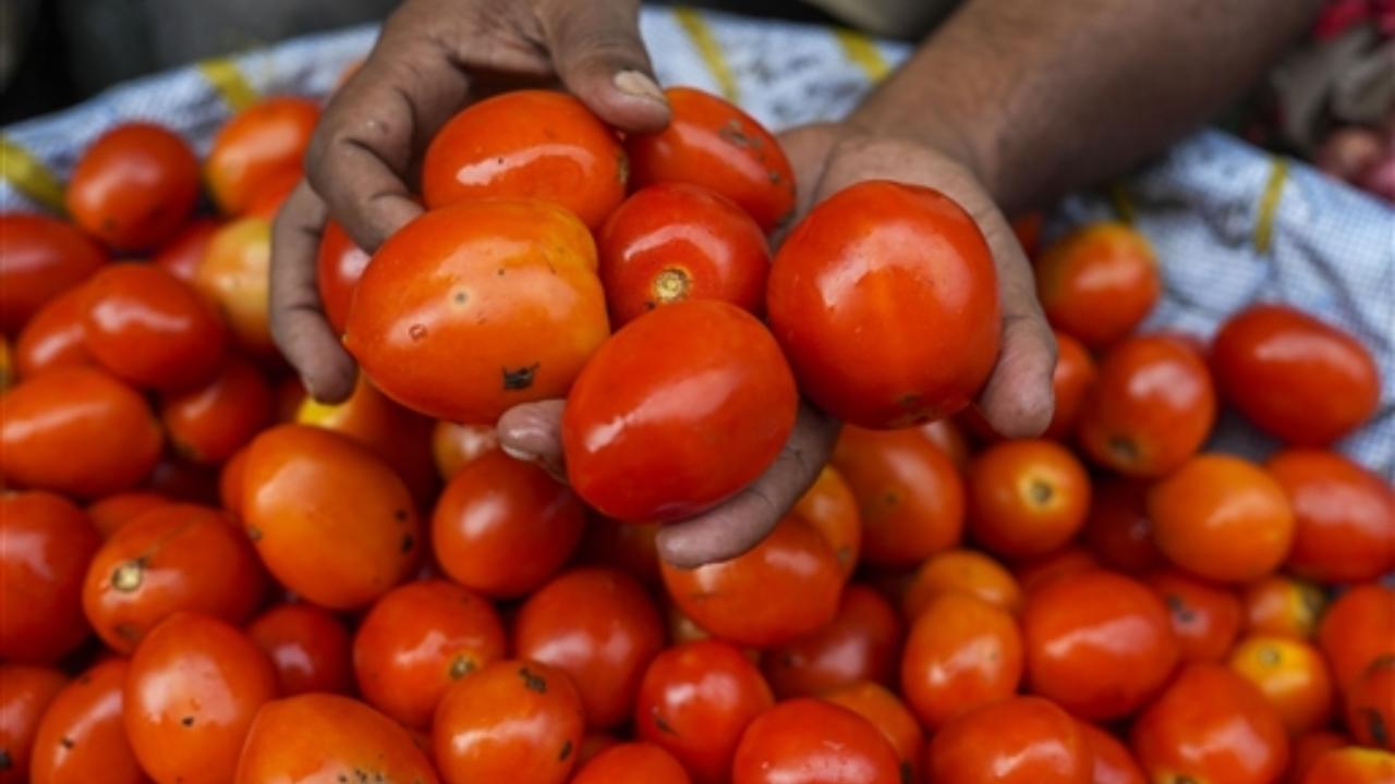 According to the database maintained by the Price Monitoring Division under the Department of Consumer Affairs, per kilo tomato on an average rose from Rs 25 to Rs 41 in retail markets. Maximum prices of tomatoes in retail markets were in the range between Rs 80-113. The rates of staple vegetables were in tune with the rise in their prices in wholesale markets, which jumped about 60-70 per cent on an average in June
 