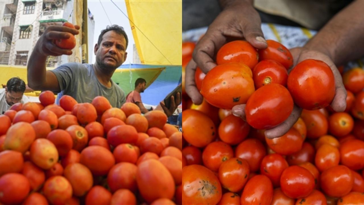 Tomato prices have soared across India with retail price crossing Rs 100/kg in many parts of Delhi (Photo/PTI)