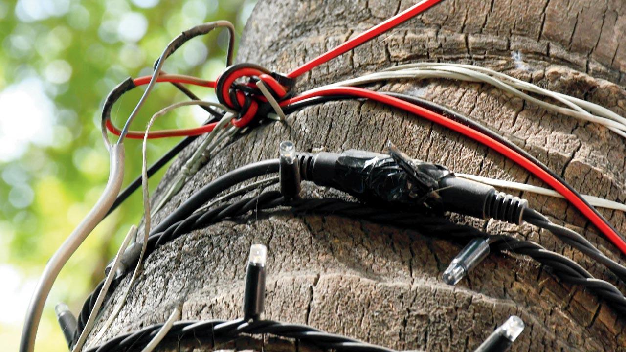Hanging live wires on trees opposite the family court at BKC