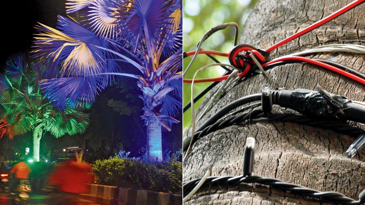 Mumbai: Are those ugly lights on trees a public risk?